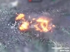 Бійці Президентської бригади нищать групу російської піхоти на Сватівському напрямку. ВIДЕО Бійці-Президентської-бригади-нищать-групу-російської-піхоти-на-Сватівському-напрямку.-ВiДЕО