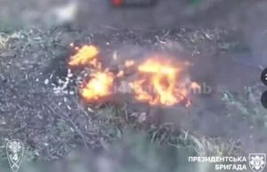 Бійці Президентської бригади нищать групу російської піхоти на Сватівському напрямку. ВIДЕО Бійці-Президентської-бригади-нищать-групу-російської-піхоти-на-Сватівському-напрямку.-ВiДЕО