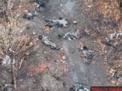 Близько 15 ліквідованих російських штурмовиків валяються на полі бою. ВIДЕО 18+ Близько-15-ліквідованих-російських-штурмовиків-валяються-на-полі-бою.-ВiДЕО-18+