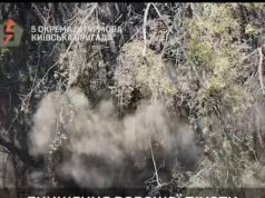 Бійці 5-ї ОШБр скидами боєприпасів знищують ворожу піхоту на Покровському напрямку. ВIДЕО Бійці-5-ї-ОШБр-скидами-боєприпасів-знищують-ворожу-піхоту-на-Покровському-напрямку.-ВiДЕО