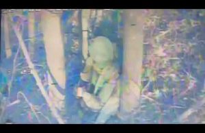 Пікнік 14-ти хробаків. Вечірня казочка від Мадяра. (ВІДЕО) Пікнік 14-ти хробаків. Вечірня казочка від Мадяра. (ВІДЕО)