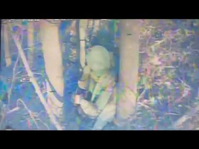Пікнік 14-ти хробаків. Вечірня казочка від Мадяра. (ВІДЕО) Пікнік 14-ти хробаків. Вечірня казочка від Мадяра. (ВІДЕО)
