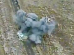 Російський позашляховик “Нива” вибухає після атаки дрона “Дикі шершні”. ВIДЕО Російський-позашляховик-“Нива”-вибухає-після-атаки-дрона-“Дикі-шершні”.-ВiДЕО
