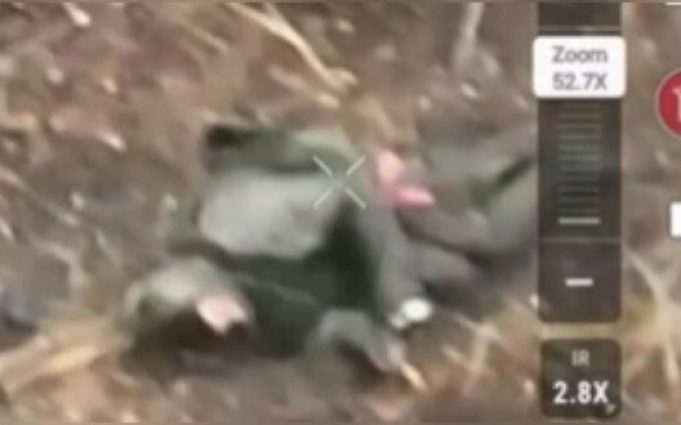 Поранений окупант підірвав себе гранатою на Донеччині. ВIДЕО Поранений-окупант-підірвав-себе-гранатою-на-Донеччині.-ВiДЕО