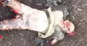 Ліквідований окупант-безштанько валяється у полі після атаки українського дрона. ВIДЕО 18+ Ліквідований-окупант-безштанько-валяється-у-полі-після-атаки-українського-дрона.-ВiДЕО-18+
