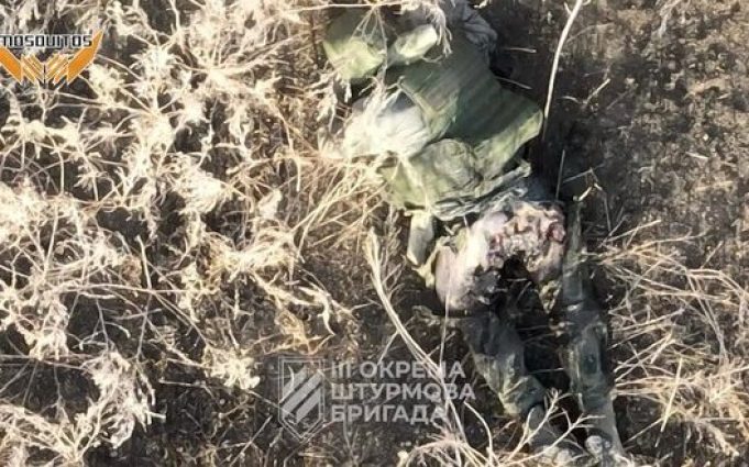 Воїни 3 ОШБр ліквідували російську піхоту скидами боєприпасів із дрона на Харківщині. ВIДЕО Воїни-3-ОШБр-ліквідували-російську-піхоту-скидами-боєприпасів-із-дрона-на-Харківщині.-ВiДЕО