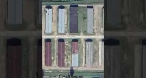 СПУСТОШЕНА БАЗА ЗБЕРІГАННЯ Т-80 НА рф (ВІДЕО) СПУСТОШЕНА БАЗА ЗБЕРІГАННЯ Т-80 НА рф (ВІДЕО)