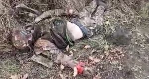 Українські десантники показали сімох ліквідованих російських морпіхів в Курській області. ВIДЕО 18+ Українські-десантники-показали-сімох-ліквідованих-російських-морпіхів-в-Курській-області.-ВiДЕО-18+
