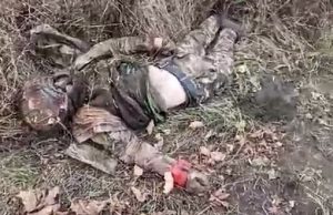 Українські десантники показали сімох ліквідованих російських морпіхів в Курській області. ВIДЕО 18+ Українські-десантники-показали-сімох-ліквідованих-російських-морпіхів-в-Курській-області.-ВiДЕО-18+