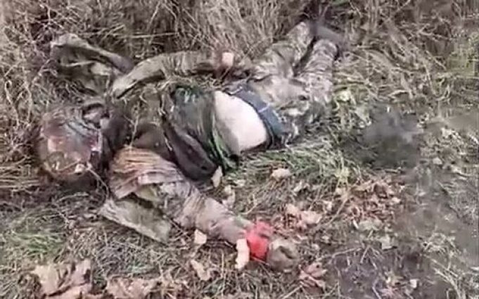 Українські десантники показали сімох ліквідованих російських морпіхів в Курській області. ВIДЕО 18+ Українські-десантники-показали-сімох-ліквідованих-російських-морпіхів-в-Курській-області.-ВiДЕО-18+