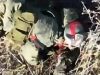 Боєприпас, скинутий із дрона, розбив окупанту пику. ВIДЕО 18+ Боєприпас,-скинутий-із-дрона,-розбив-окупанту-пику.-ВiДЕО-18+