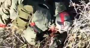 Боєприпас, скинутий із дрона, розбив окупанту пику. ВIДЕО 18+ Боєприпас,-скинутий-із-дрона,-розбив-окупанту-пику.-ВiДЕО-18+