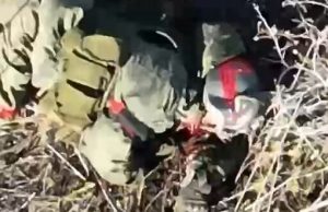 Боєприпас, скинутий із дрона, розбив окупанту пику. ВIДЕО 18+ Боєприпас,-скинутий-із-дрона,-розбив-окупанту-пику.-ВiДЕО-18+