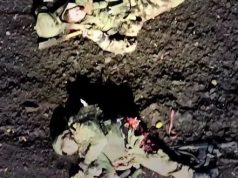 Оператори БПЛА атакують ворожу штурмову групу, яка висадилася із двох БТРів. ВIДЕО 18+ Оператори-БПЛА-атакують-ворожу-штурмову-групу,-яка-висадилася-із-двох-БТРів.-ВiДЕО-18+