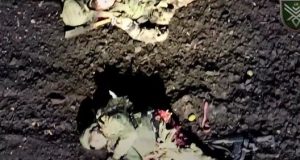 Оператори БПЛА атакують ворожу штурмову групу, яка висадилася із двох БТРів. ВIДЕО 18+ Оператори-БПЛА-атакують-ворожу-штурмову-групу,-яка-висадилася-із-двох-БТРів.-ВiДЕО-18+