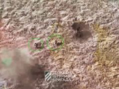 Бійці 3 ОШБр ліквідували групу окупантів на підступах до наших позицій на Харківщині. ВIДЕО Бійці-3-ОШБр-ліквідували-групу-окупантів-на-підступах-до-наших-позицій-на-Харківщині.-ВiДЕО