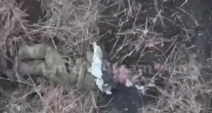 Окупант втратив голову після скиду із українського дрона. ВIДЕО 18+ Окупант-втратив-голову-після-скиду-із-українського-дрона.-ВiДЕО-18+
