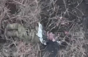 Окупант втратив голову після скиду із українського дрона. ВIДЕО 18+ Окупант-втратив-голову-після-скиду-із-українського-дрона.-ВiДЕО-18+