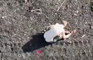 Бійці 68 ОЄБр влучно атакують з неба двох російських загарбників на Донеччині. ВIДЕО Бійці-68-ОЄБр-влучно-атакують-з-неба-двох-російських-загарбників-на-Донеччині.-ВiДЕО