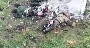 Кішка харчується тілом російського загарбника. ВIДЕО 18+ Кішка-харчується-тілом-російського-загарбника.-ВiДЕО-18+