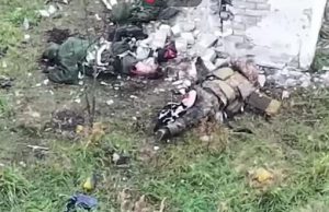 Кішка харчується тілом російського загарбника. ВIДЕО 18+ Кішка-харчується-тілом-російського-загарбника.-ВiДЕО-18+