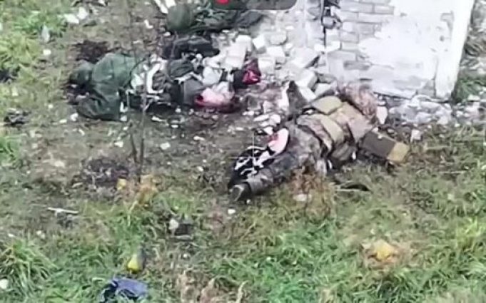 Кішка харчується тілом російського загарбника. ВIДЕО 18+ Кішка-харчується-тілом-російського-загарбника.-ВiДЕО-18+