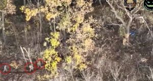 Бійці 56 ОМПБр ліквідували російських піхотинців та їхні укриття ударами безпілотників. ВIДЕО Бійці-56-ОМПБр-ліквідували-російських-піхотинців-та-їхні-укриття-ударами-безпілотників.-ВiДЕО