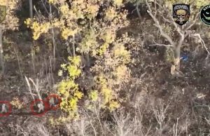 Бійці 56 ОМПБр ліквідували російських піхотинців та їхні укриття ударами безпілотників. ВIДЕО Бійці-56-ОМПБр-ліквідували-російських-піхотинців-та-їхні-укриття-ударами-безпілотників.-ВiДЕО