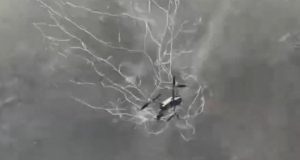 У дрон-“сіткостріл” спіймався російський Mavic 3. ВIДЕО У-дрон-“сіткостріл”-спіймався-російський-mavic-3.-ВiДЕО