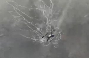 У дрон-“сіткостріл” спіймався російський Mavic 3. ВIДЕО У-дрон-“сіткостріл”-спіймався-російський-mavic-3.-ВiДЕО