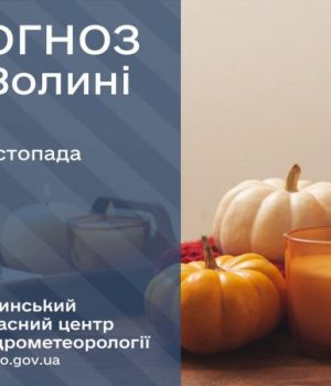 Погода-в-Луцьку-та-Волинській-області-на-завтра,-7-листопада