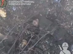Воїни 5 ОШБр ліквідували штурмову піхоту противника на Покровському напрямку. ВIДЕО Воїни-5-ОШБр-ліквідували-штурмову-піхоту-противника-на-Покровському-напрямку.-ВiДЕО