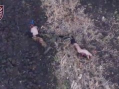 Дві відірвані ноги російського загарбника валяються у полі на Куп’янському напрямку. ВIДЕО 18+ Дві-відірвані-ноги-російського-загарбника-валяються-у-полі-на-Куп’янському-напрямку.-ВiДЕО-18+