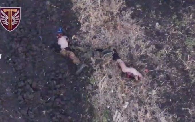 Дві відірвані ноги російського загарбника валяються у полі на Куп’янському напрямку. ВIДЕО 18+ Дві-відірвані-ноги-російського-загарбника-валяються-у-полі-на-Куп’янському-напрямку.-ВiДЕО-18+