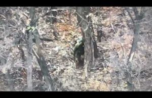 Просвітницький проект «13 й0бликів. ввт». Випуск шостий (ВІДЕО) Просвітницький проект «13 й0бликів. ввт». Випуск шостий (ВІДЕО)