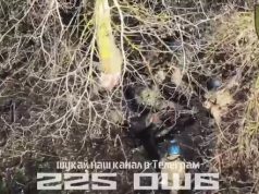 Бійці 225-го ОШБ полонили уцілілого російського штурмовика. ВIДЕО Бійці-225-го-ОШБ-полонили-уцілілого-російського-штурмовика.-ВiДЕО