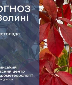 Погода-в-Луцьку-та-Волинській-області-на-завтра,-13-листопада