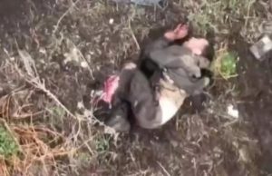 Окупант із відірваною ногою доходить на узбіччі. ВIДЕО 18+ Окупант-із-відірваною-ногою-доходить-на-узбіччі.-ВiДЕО-18+