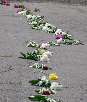 На-щиті-повертається-волинянин-Валерій-Швець