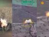Під час штурму на Курському напрямку росіяни втратили 17 одиниць техніки на українських мінах, –... Під-час-штурму-на-Курському-напрямку-росіяни-втратили-17-одиниць-техніки-на-українських-мінах,-–.