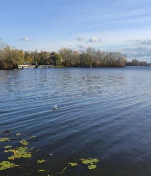 Кременчук-може-піти-під-воду-менше,-ніж-за-годину,-якщо-росіяни-зруйнують-ГЕС,-–-ЗМІ