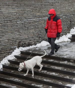 Йде великий сніг. Птуха попередила про різку зміну погоди по всій Україні, за її словами, «в Києві...