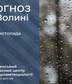 Погода-в-Луцьку-та-Волинській-області-на-завтра,-20-листопада