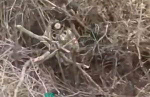 Боєприпас із дрона падає на окупанта, який показав непристойний жест оператору БПЛА. ВIДЕО Боєприпас-із-дрона-падає-на-окупанта,-який-показав-непристойний-жест-оператору-БПЛА.-ВiДЕО