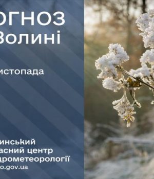 Погода-в-Луцьку-та-Волинській-області-на-завтра,-26-листопада