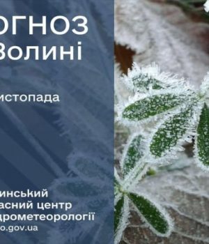 Погода-в-Луцьку-та-Волинській-області-на-завтра,-28-листопада