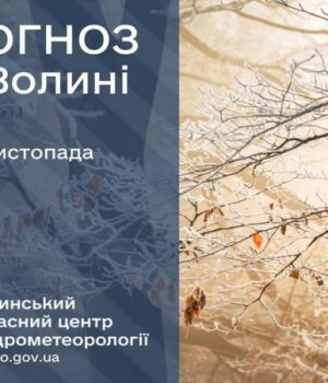 Погода-в-Луцьку-та-Волинській-області-на-завтра,-29-листопада