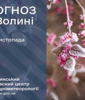 Погода-в-Луцьку-та-Волинській-області-на-завтра,-30-листопада