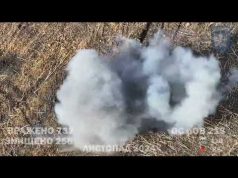 Очі та Жало: звіт ВЙО за ЛИСТОПАД 2024, 414 ОПУБАС Птахи Мадяра. ДОНБАС. (ВІДЕО) Очі та Жало: звіт ВЙО за ЛИСТОПАД 2024, 414 ОПУБАС Птахи Мадяра. ДОНБАС. (ВІДЕО)