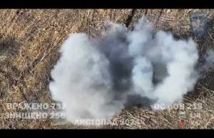 Очі та Жало: звіт ВЙО за ЛИСТОПАД 2024, 414 ОПУБАС Птахи Мадяра. ДОНБАС. (ВІДЕО) Очі та Жало: звіт ВЙО за ЛИСТОПАД 2024, 414 ОПУБАС Птахи Мадяра. ДОНБАС. (ВІДЕО)